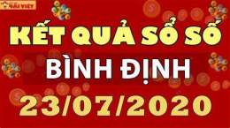 giao diện app du doan so xo binh dinh