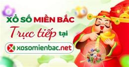 giao diện app ket qua xo so mien bac thu 3 hang tuan