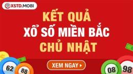giao diện app xổ số chủ nhật đài bắc hàng tuần