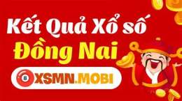 giao diện app xổ số dong nai 6 5