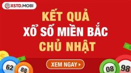 giao diện app xổ số miền bắc chủ nhật 1 tháng