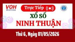 giao diện app xổ số ninh thuận thứ 6 hàng tuần