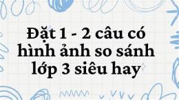 hướng dẫn sử dụng cau xo so mn