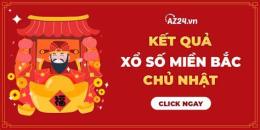 hướng dẫn sử dụng chủ nhật xổ số chủ nhật hàng tuần