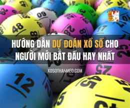 hướng dẫn sử dụng đoán xổ số