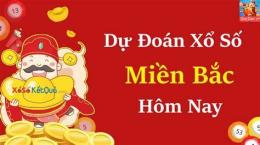 hướng dẫn sử dụng dự đoán xổ số daklak nét