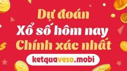 hướng dẫn sử dụng du doan xo so wap vn