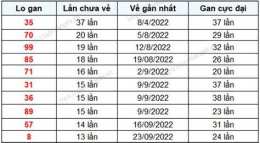 hướng dẫn sử dụng kết quả xổ số gia lai ngày 28 tháng 8
