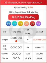 hướng dẫn sử dụng quả xổ số mega