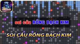 hướng dẫn sử dụng rong bach kim du doan xo so mb