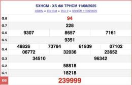 hướng dẫn sử dụng số xổ hồ chí minh