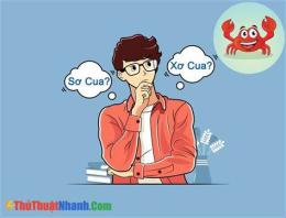 hướng dẫn sử dụng sơ ý hay xơ ý
