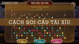 hướng dẫn sử dụng soi cau xo so than tai