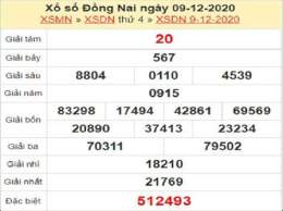 hướng dẫn sử dụng thống kê xổ số đồng nai 00 99