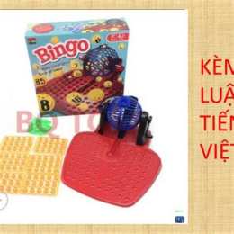 hướng dẫn sử dụng xổ số bingo