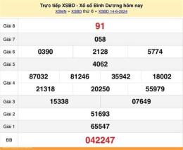 hướng dẫn sử dụng xổ số đài bình dương ngày 14 tháng 11