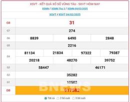 hướng dẫn sử dụng xổ số hàng tuần vũng tàu
