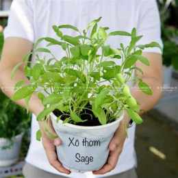 hướng dẫn sử dụng xô sô hôm qua