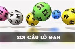hướng dẫn sử dụng xổ số lô gan cần thơ