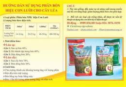 hướng dẫn sử dụng xổ số long an ngày 25 tháng 04 năm 2006