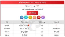 hướng dẫn sử dụng xổ số mega ngày 12 tháng 11