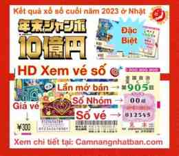 hướng dẫn sử dụng xổ số năm nay