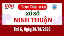 hướng dẫn sử dụng xổ số ninh thuận 30 ngày gần đây