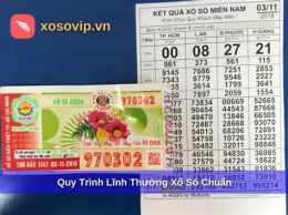 hướng dẫn sử dụng xổ số tâm linh