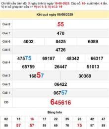 hướng dẫn sử dụng xo so tien giang 16 8