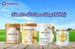 hướng dẫn sử dụng xo số tra vinh