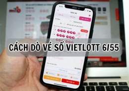 hướng dẫn sử dụng xổ số vietlott 6 55 minh ngọc
