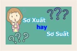 hướng dẫn sử dụng xơ suất hay sơ xuất