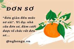 hướng dẫn sử dụng xơ xơ hay sơ sơ