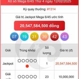 kết quả xổ số mega 645 ngày hôm nay