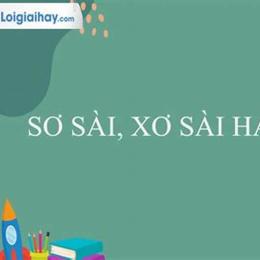 sơ xài hay xơ xài