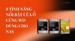 tính năng nổi bật sơ cứng hay xơ cứng