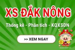tính năng nổi bật xổ số đắk nông 100 ngày