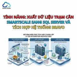 tính năng nổi bật xổ số p0wer