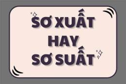 tính năng nổi bật xơ suất hay sơ xuất