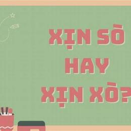 xin xỏ hay xịn sỏ