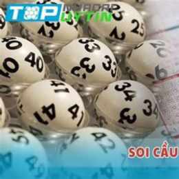 xổ số 247 tv miễn phí