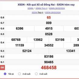 xổ số dong nai 6 5