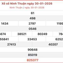 xổ số ninh thuận 30 ngày gần đây