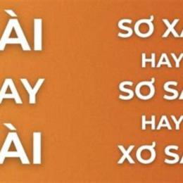 xơ xài hay sơ sài